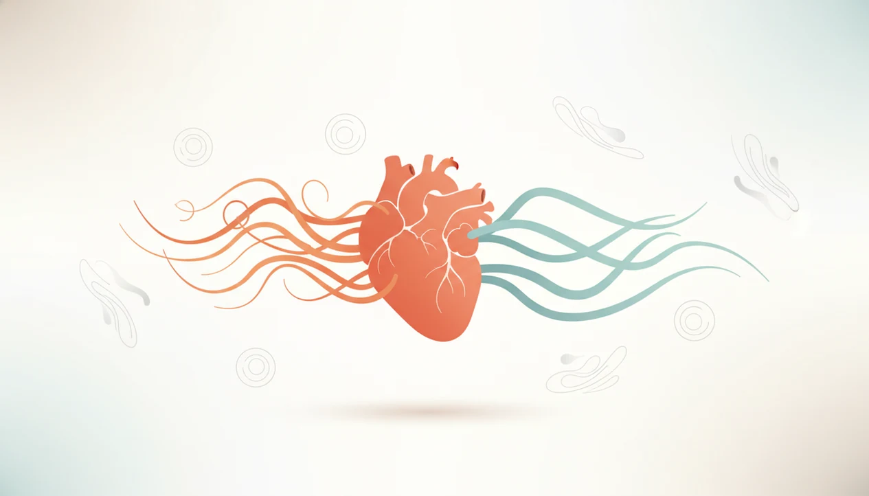 Emotions and Heart Health: A Mindful Guide