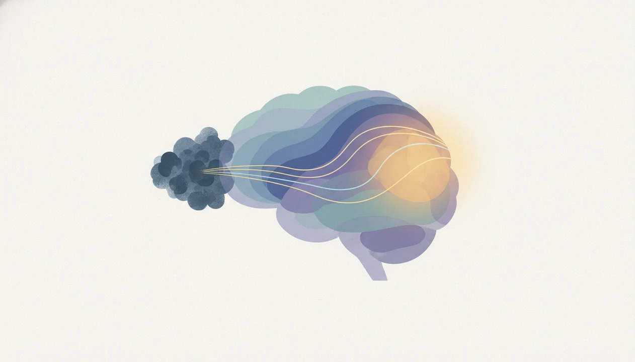 How Happy Brains Respond to Negativity