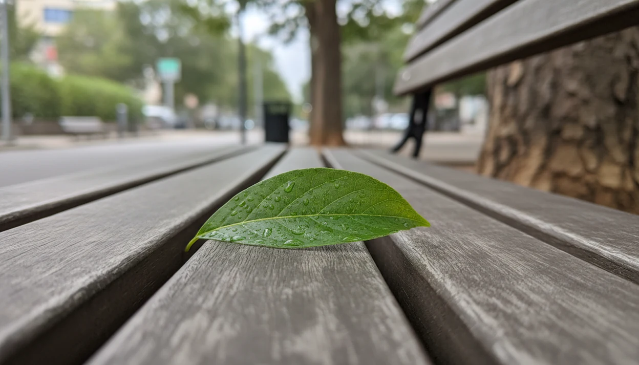 Mindful Nature Appreciation: A Practical Guide